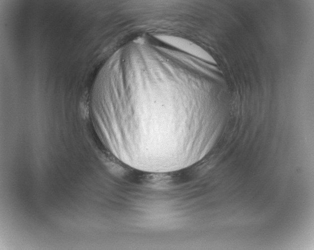 X0000064750719200603031733