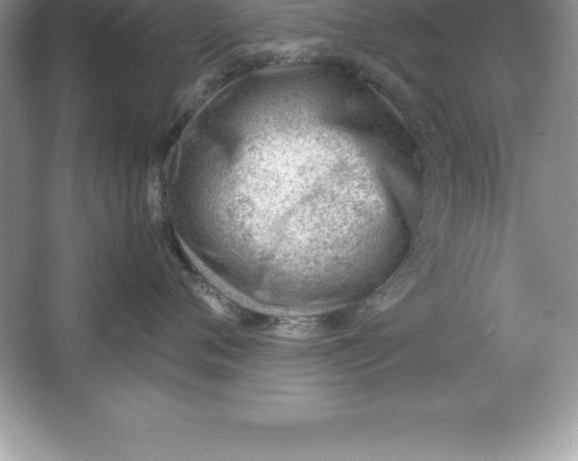 X0000064750720200603031733