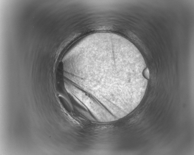 X0000064750721200603031732