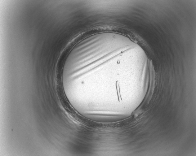 X0000064750722200603031732