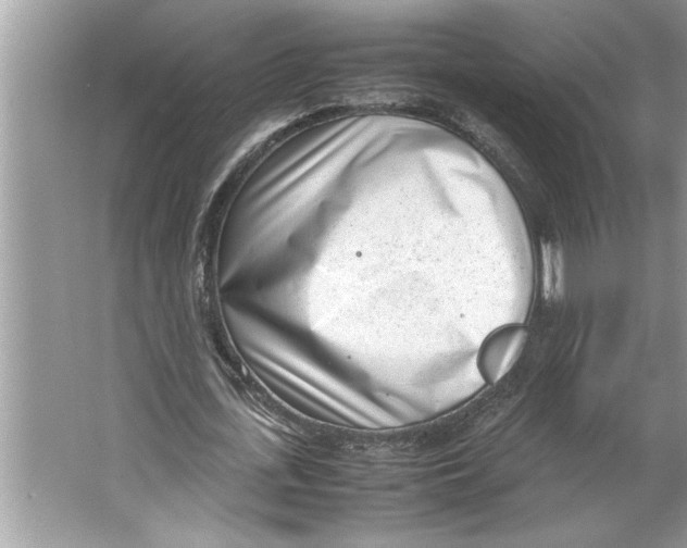 X0000064750723200603031733