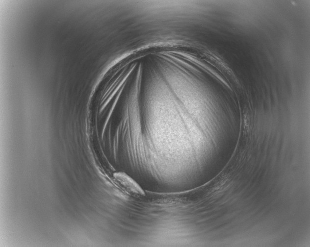 X0000064750724200603031733