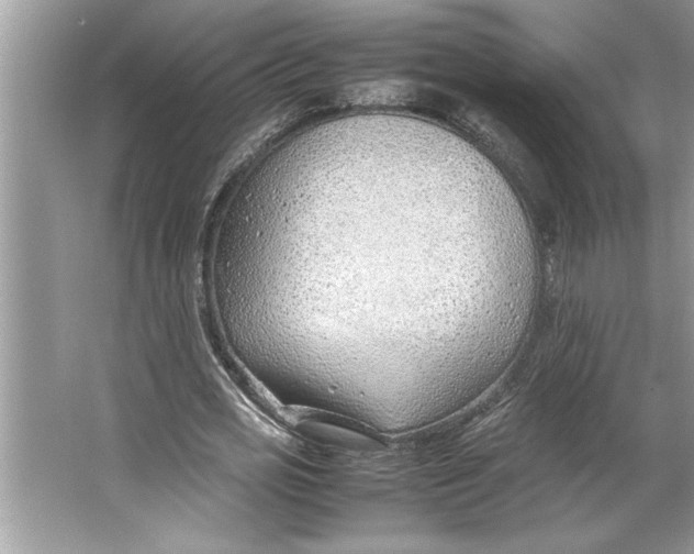 X0000064750725200603031733