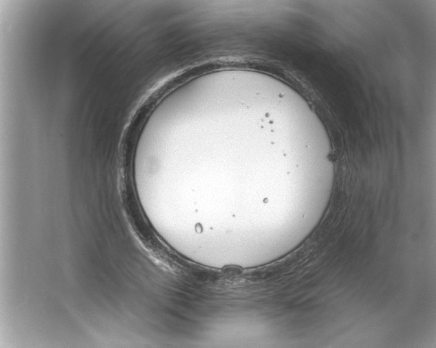 X0000064750728200603031733