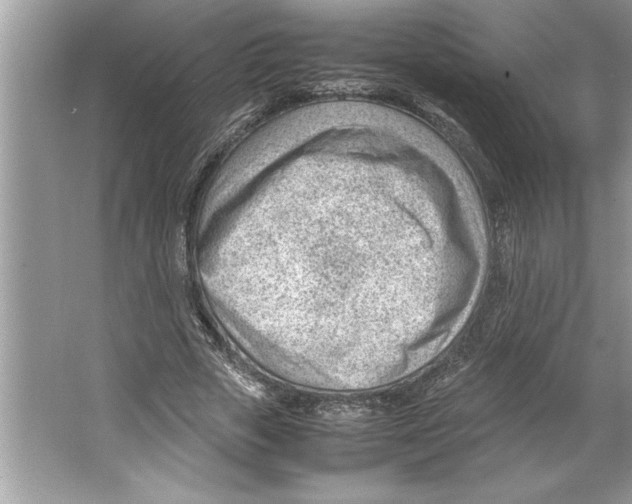 X0000064750729200603031733