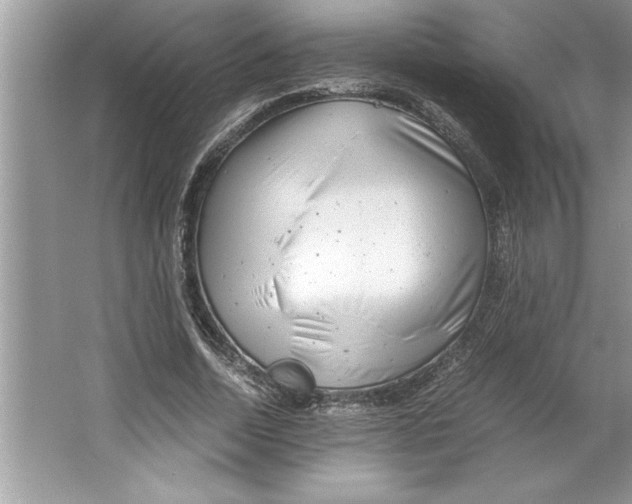 X0000064750730200603031733