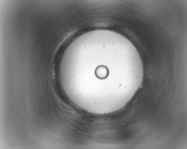 X0000064750731200603031733