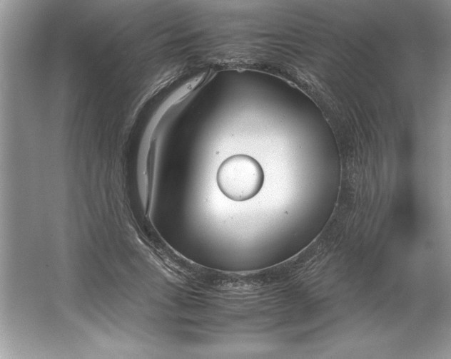 X0000064750735200603031733