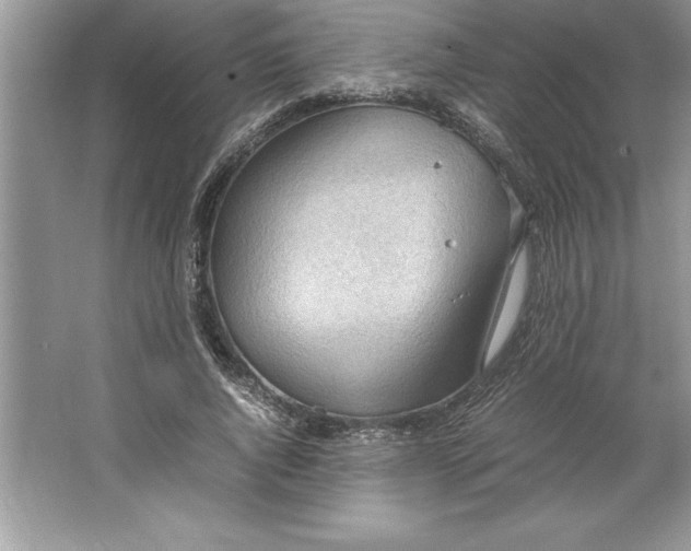 X0000064750736200603031733