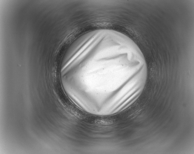 X0000064750739200603031733