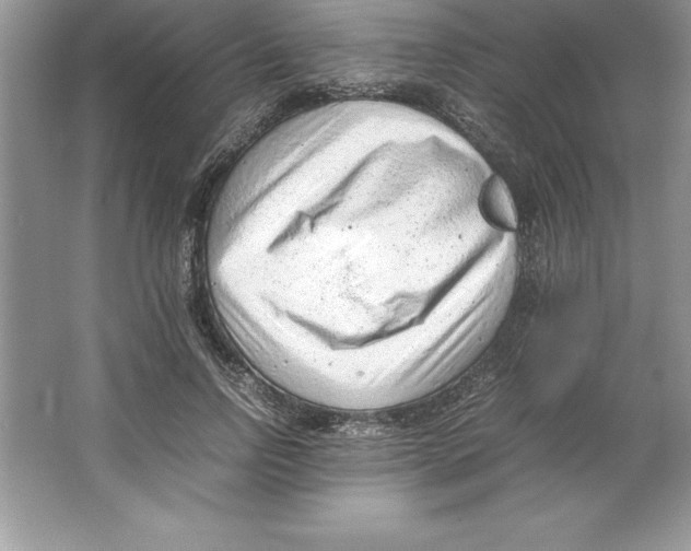 X0000064750742200603031733