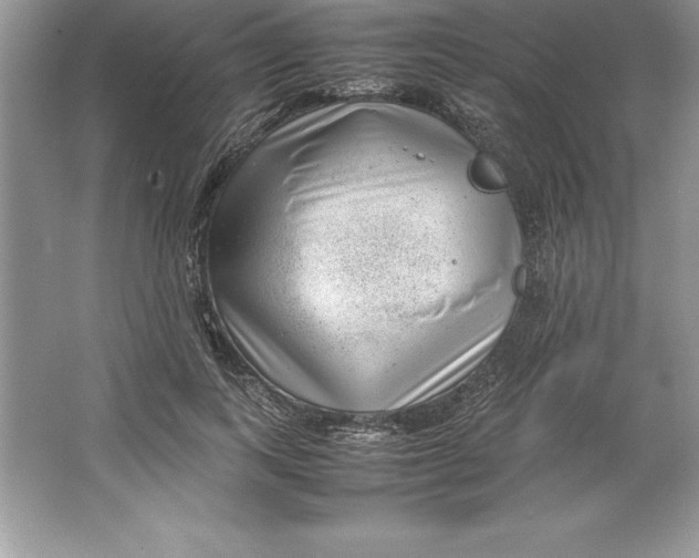 X0000064750743200603031733