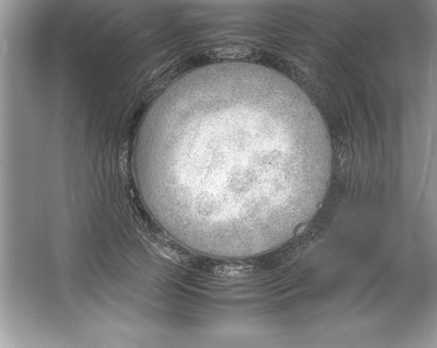 X0000064750745200603031733