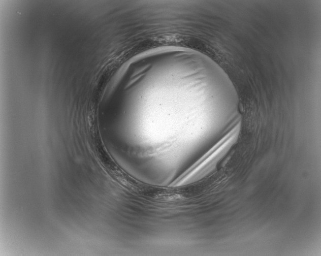 X0000064750747200603031733