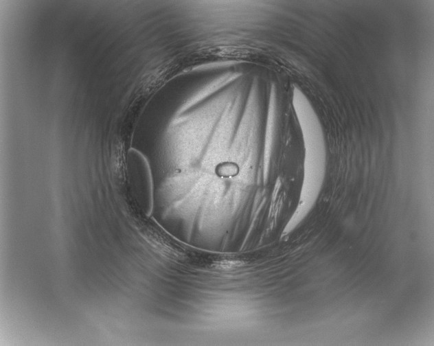 X0000064750748200603031733