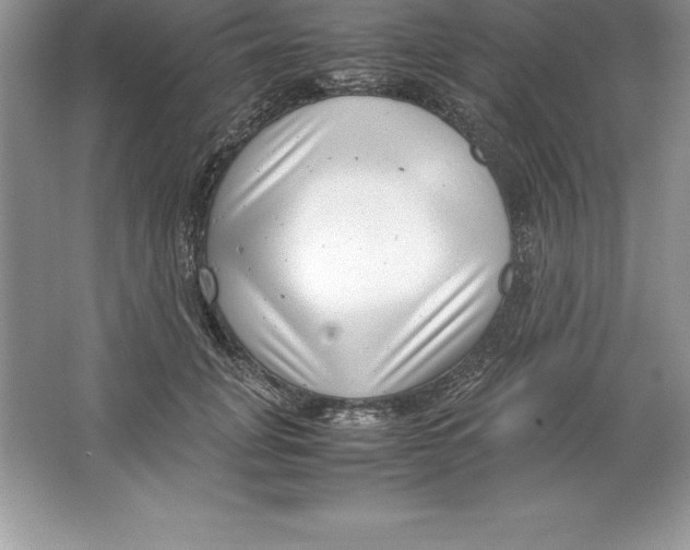 X0000064750751200603031733