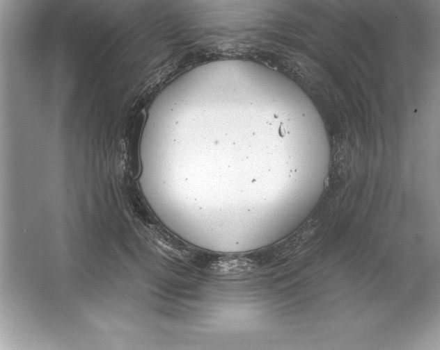 X0000064750752200603031733