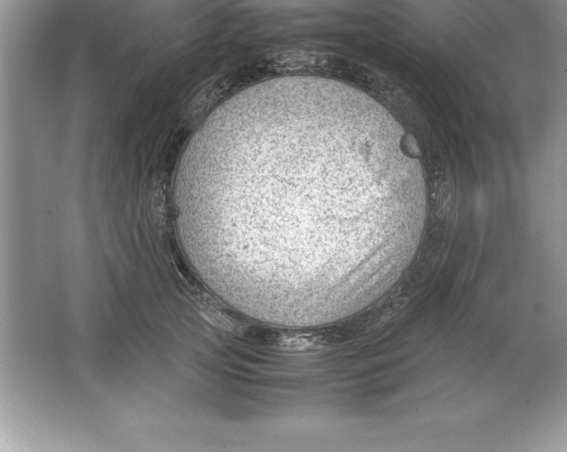 X0000064750753200603031733