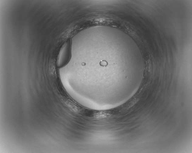 X0000064750754200603031733