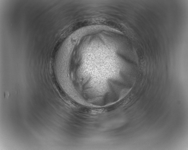 X0000064750757200603031733