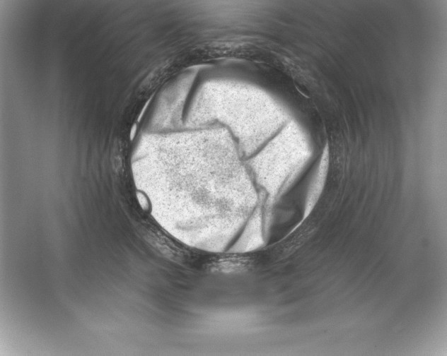 X0000064750758200603031733