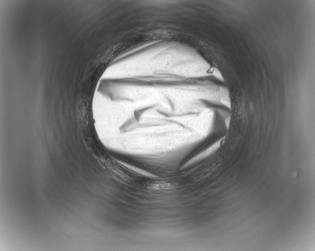 X0000064750759200603031733