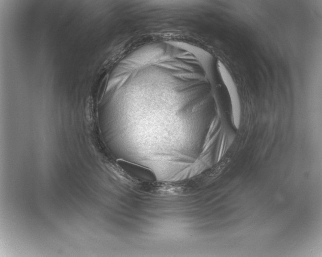 X0000064750760200603031733