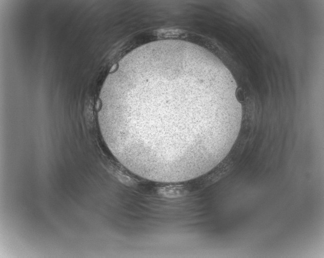 X0000064750761200603031733