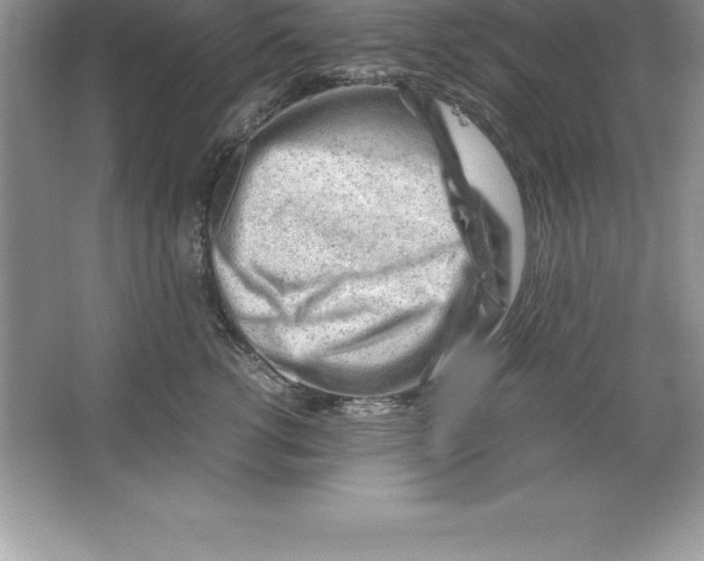 X0000064750762200603031733