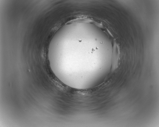 X0000064750763200603031733