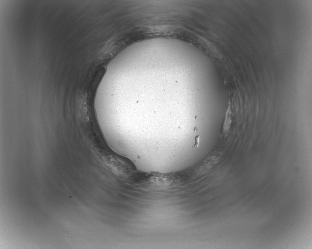 X0000064750764200603031733