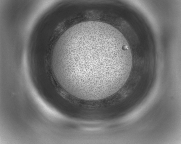 X0000064750765200603031733