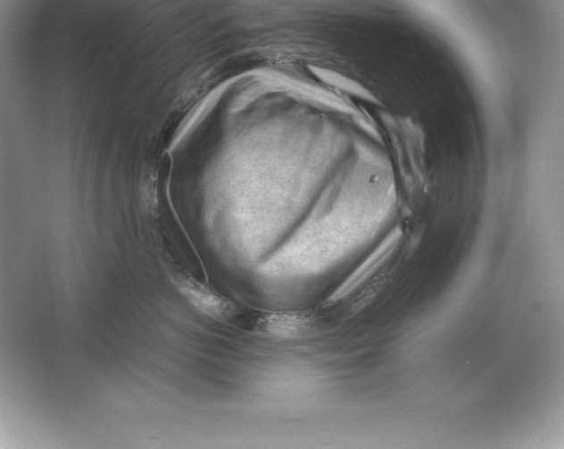 X0000064750766200603031733