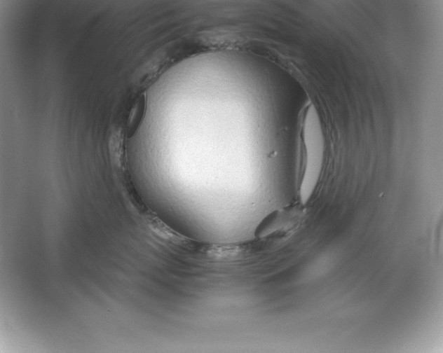 X0000064750767200603031733