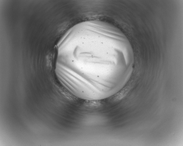 X0000064750768200603031733