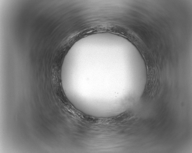 X0000064750773200603031732