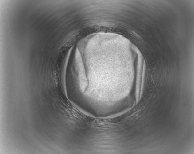 X0000064750774200603031732