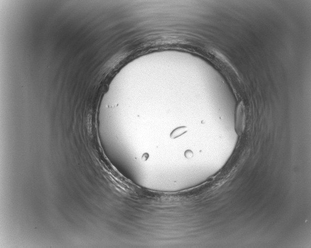 X0000064750777200603031732