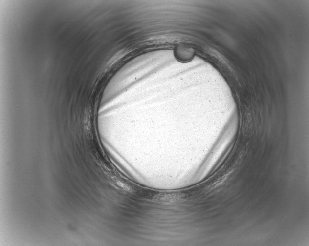 X0000064750778200603031732