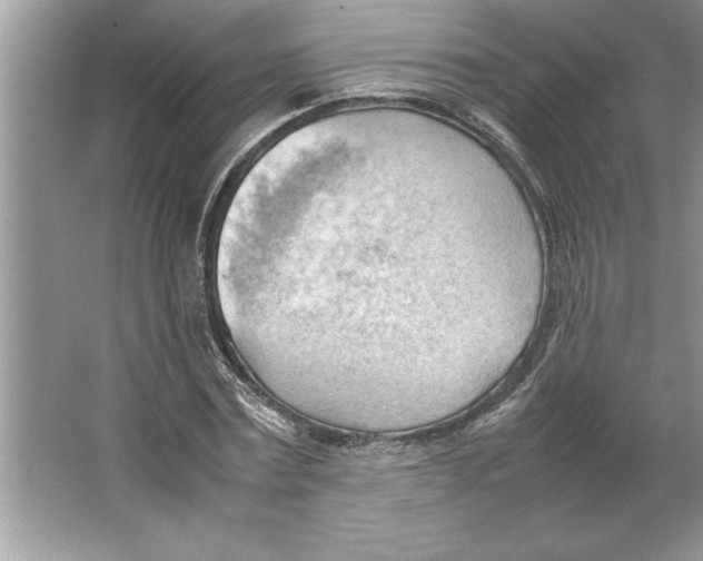 X0000064750779200603031732