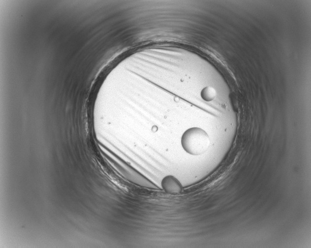 X0000064750782200603031732