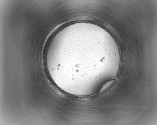 X0000064750784200603031732