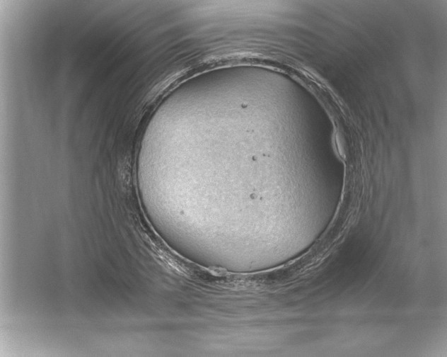 X0000064750785200603031732