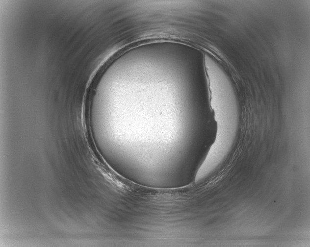 X0000064750788200603031732