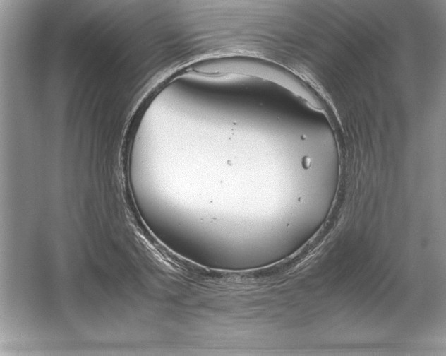 X0000064750789200603031732