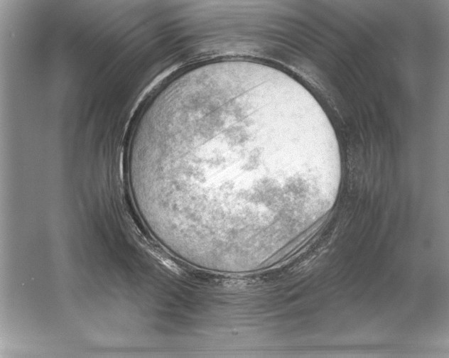 X0000064750790200603031732