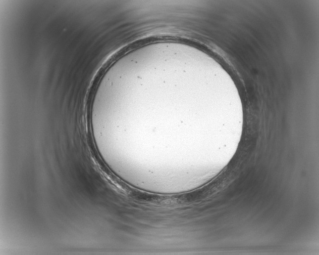 X0000064750791200603031732