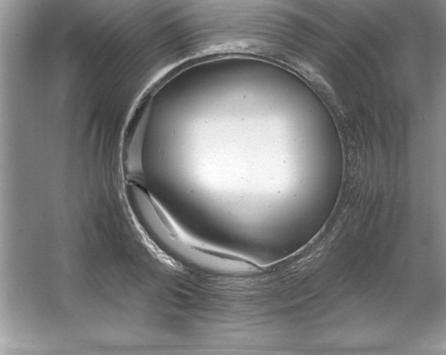 X0000064750792200603031732