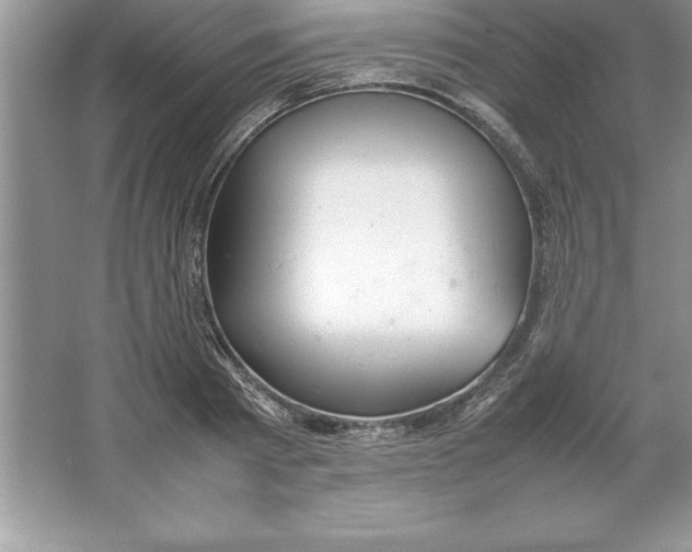 X0000064750793200603031732