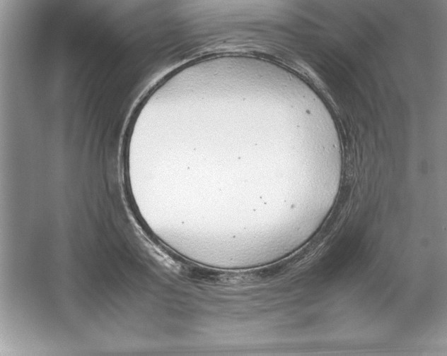 X0000064750795200603031732